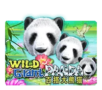 Persentase RTP untuk Wild Giant Panda oleh Joker Gaming
